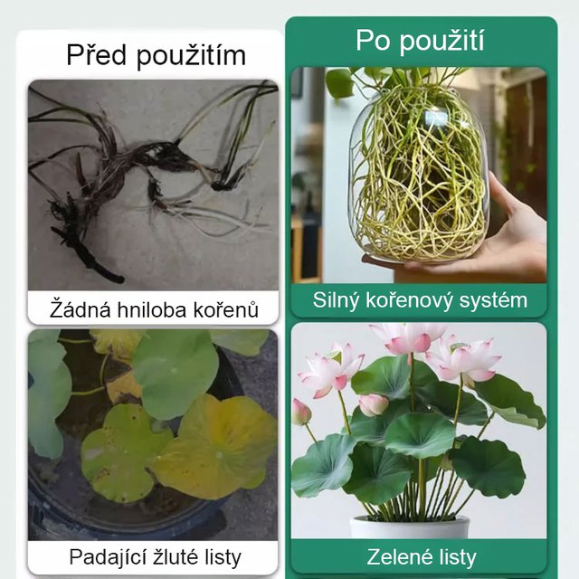 Speciální živný roztok pro lotos